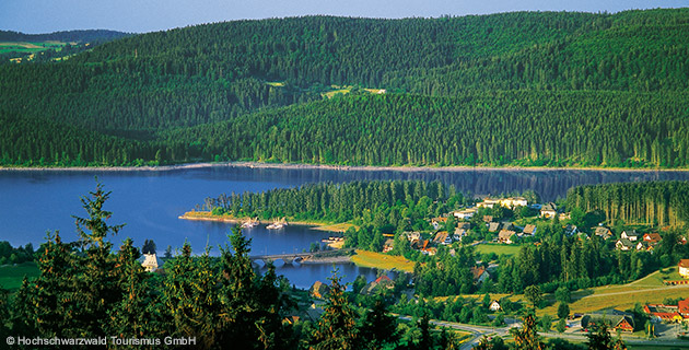 Wald und Häuser um den Schluchsee herum