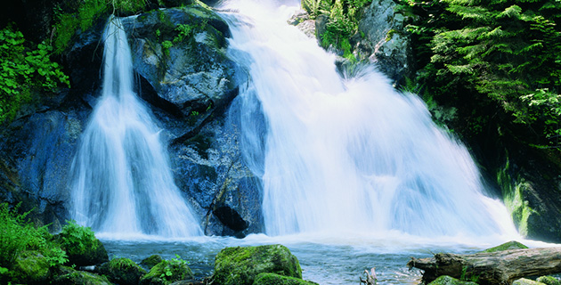 Wasserfall auf Felsen im Urwald