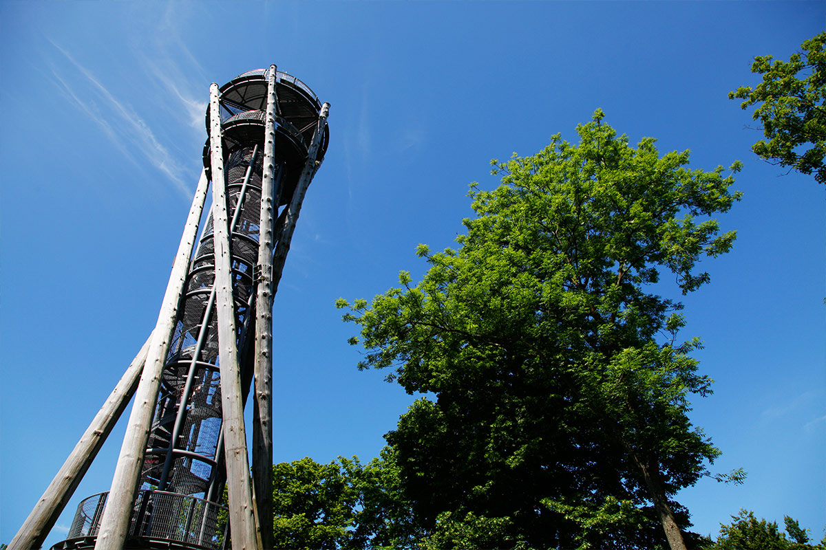 Schlossbergturm in Freiburg