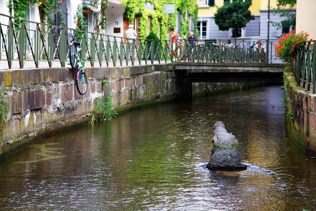 Büste eines Krokodils in der Dreisam