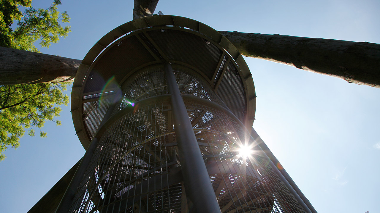 Schlossbergturm in Freiburg am Breisgau