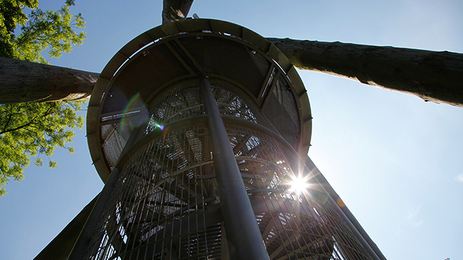 Schlossbergturm in Freiburg am Breisgau